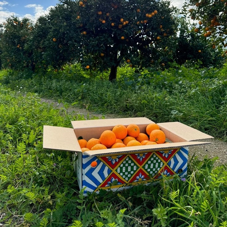 Arance Siciliane da Spremuta