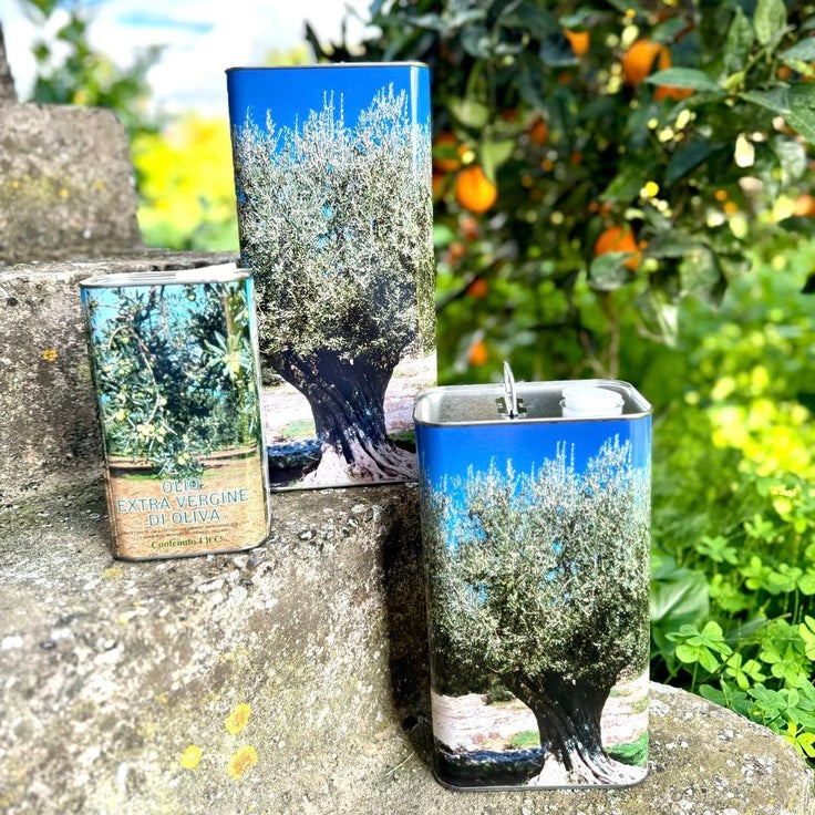 Olio Extravergine di Oliva 6 Lattine da 5 Litri